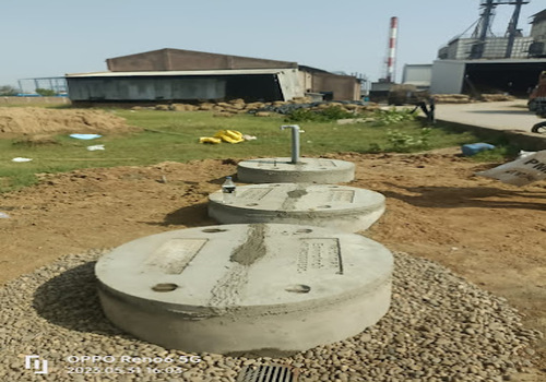 Terrace Garden Services Provider in Noida